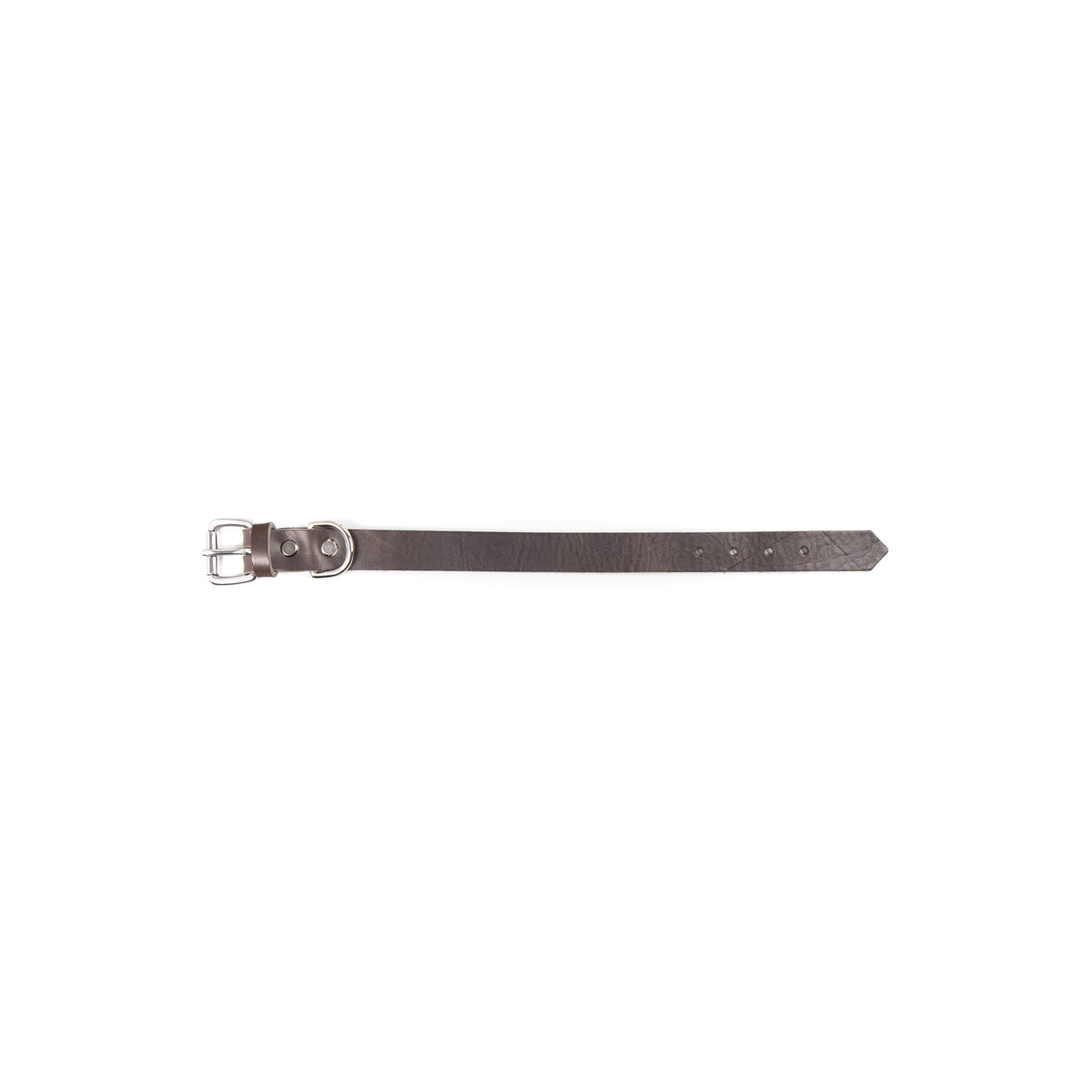 Buckle-Down Hundehalsband, Nickelodeon 90er Jahre Design, Größe 15,2–22,9 Cm, 1,3 Cm Breit