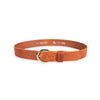 Damen Ledergürtel „Calvados“ – Vollleder, 4 cm, goldene Schließe 4875